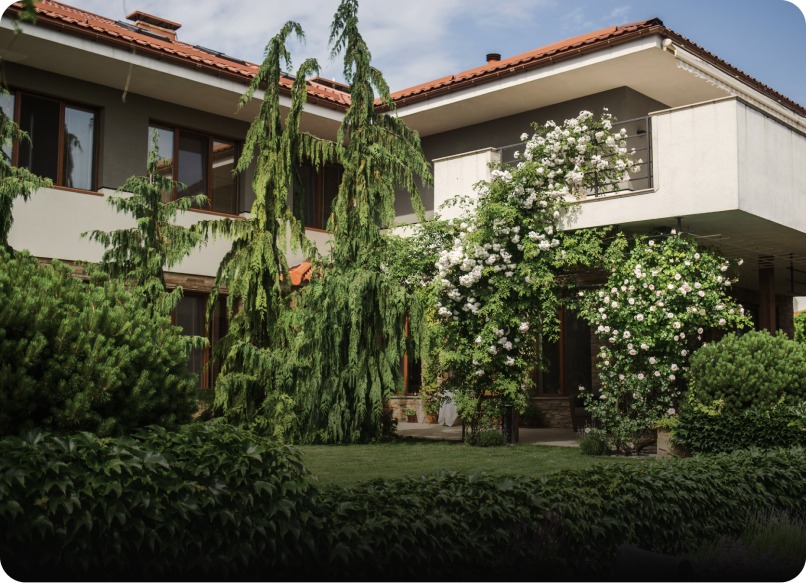 Why Choose Magic Garden